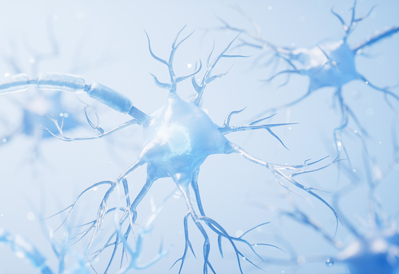 눈밑지방재배치